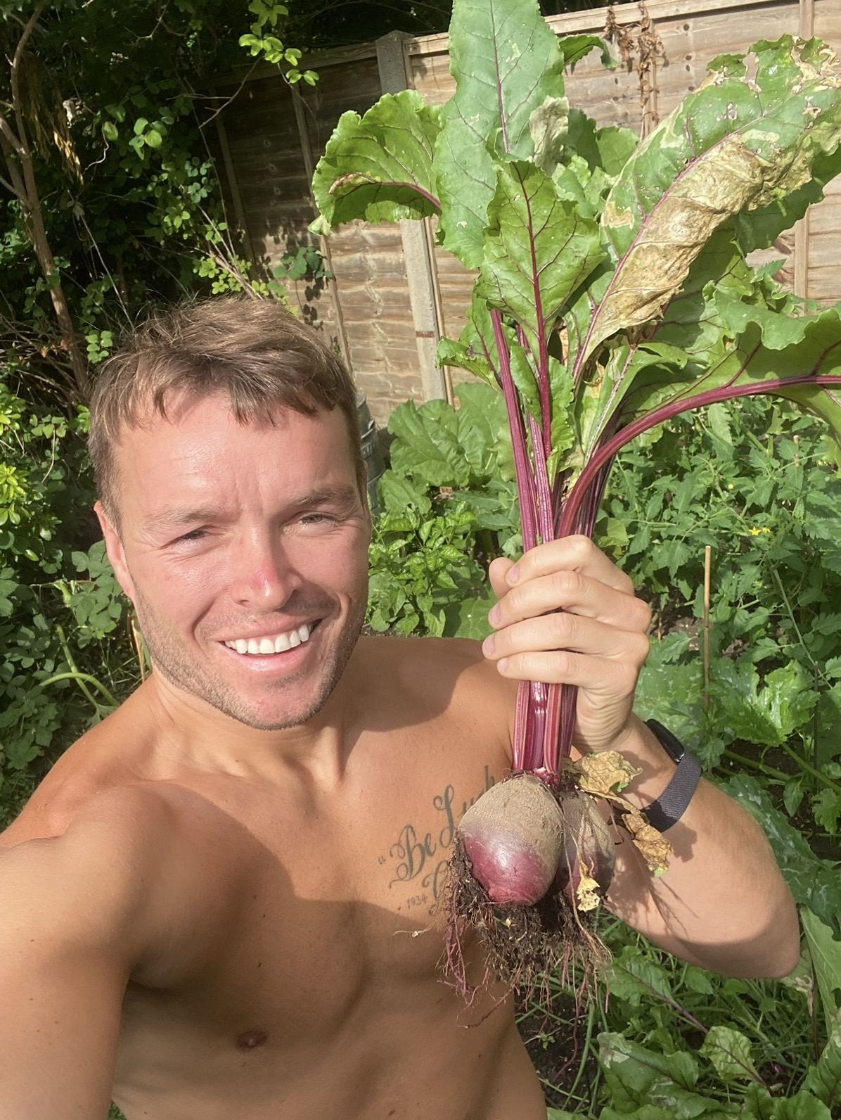 Beetroot pulled from the beds