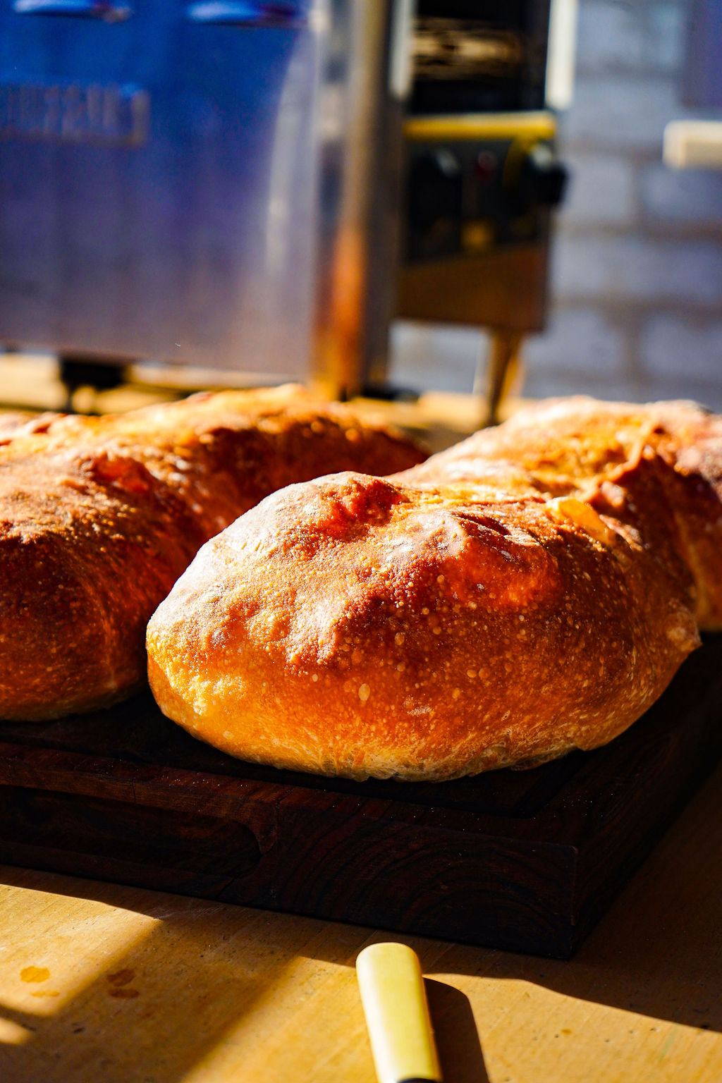 Bread fresh from the oven